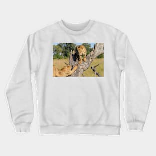 Animal Images Crewneck Sweatshirt